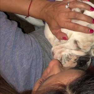 Meet your Posher, Norma